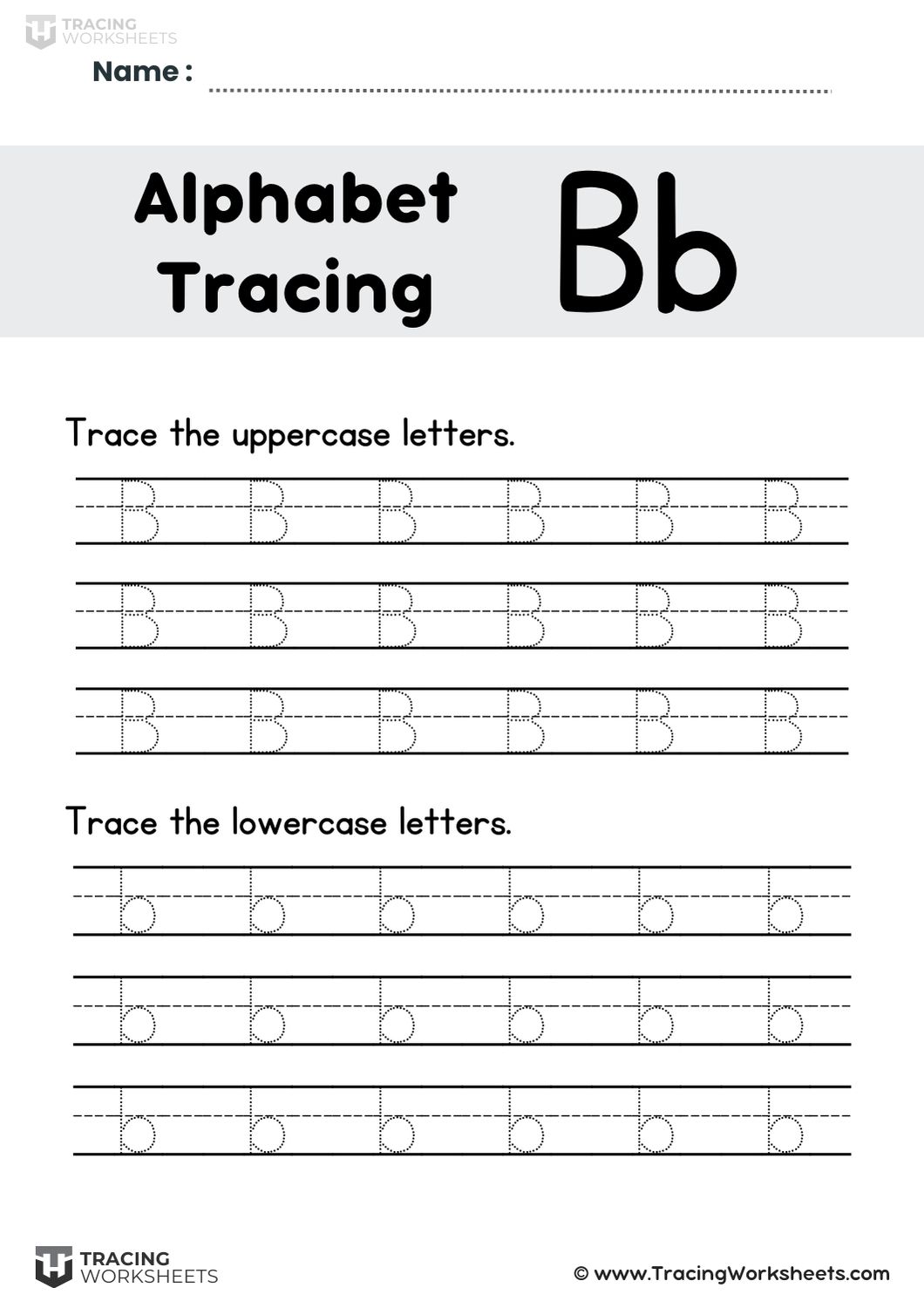 Lined Letter B Practice