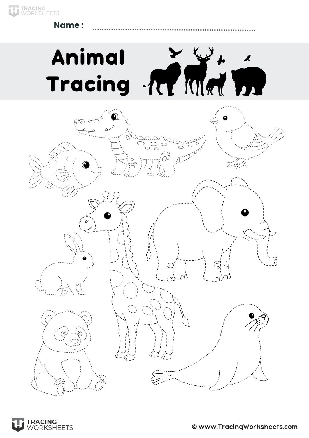 Animal Outline Tracing