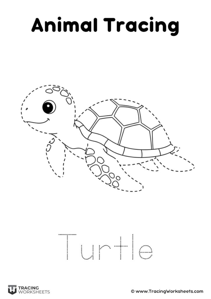Turtle Animation Tracing Animal Tracing Worksheets | +20 Animals Pictures