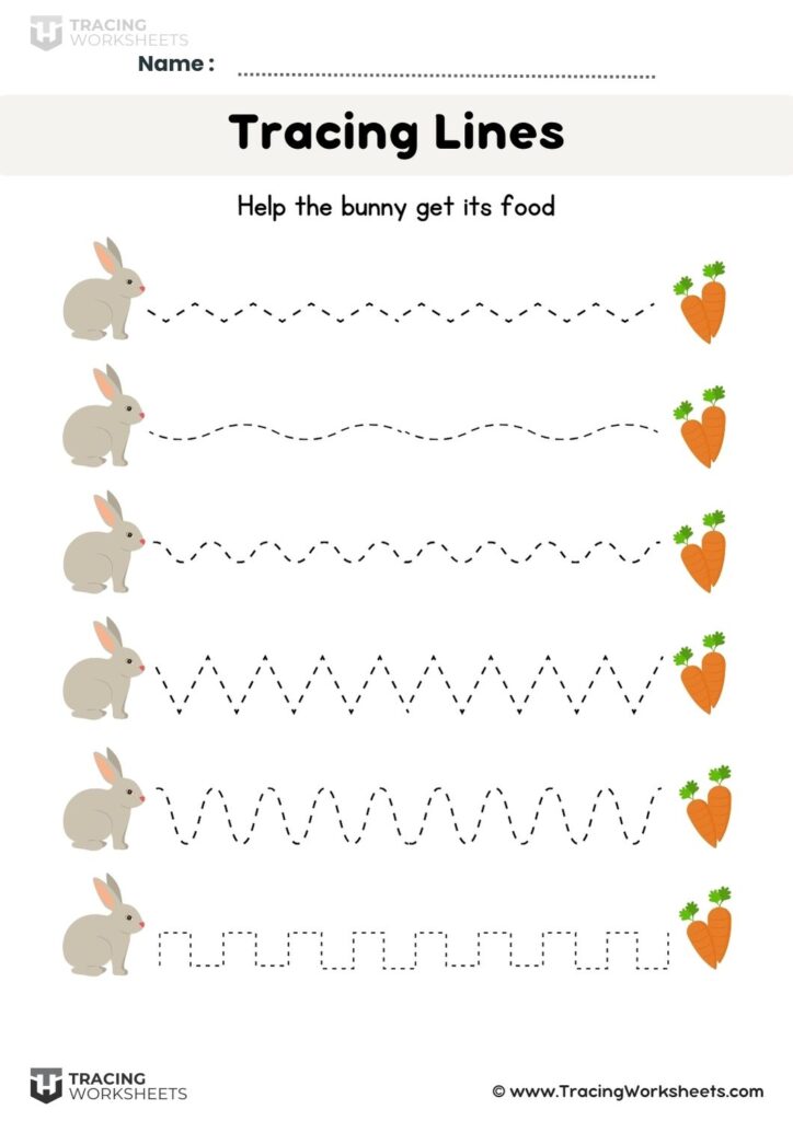 Tracing Drawing Rabbit Bunny Tracing Sheets for Preschool & Kindergarten