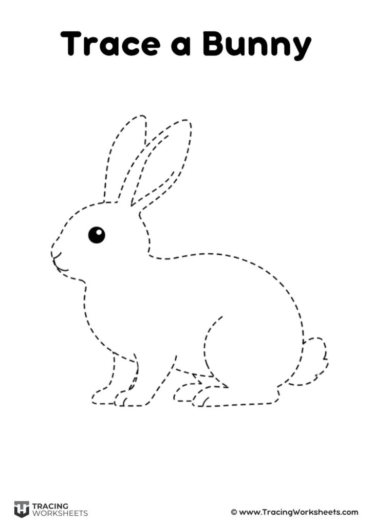Trace a Bunny